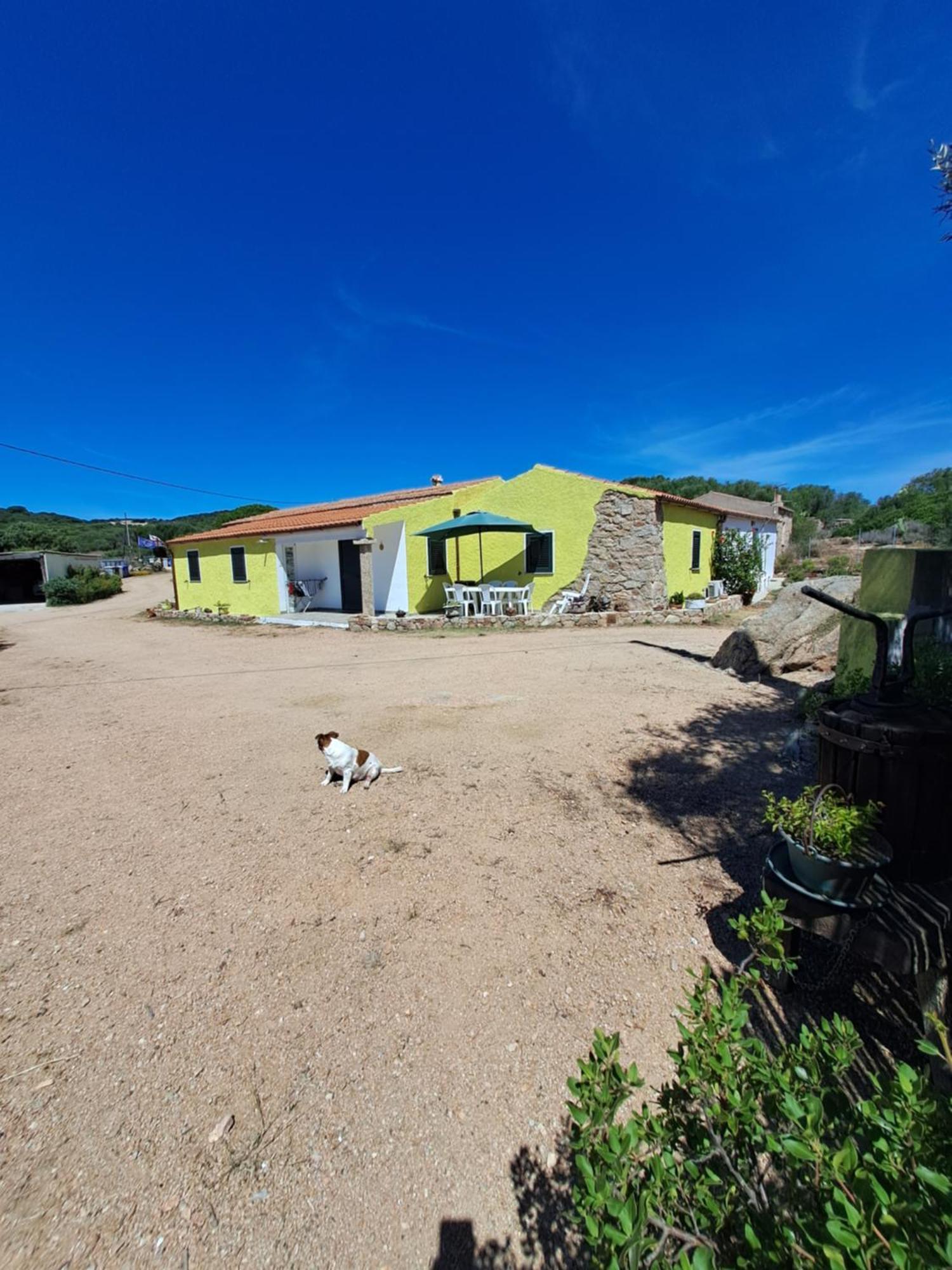 B&B Li Salcuneddi Aglientu Exterior foto